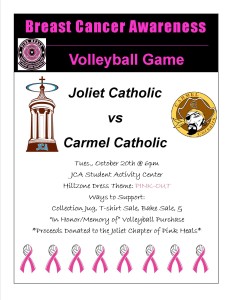 Pink Heals Volleyball Poster